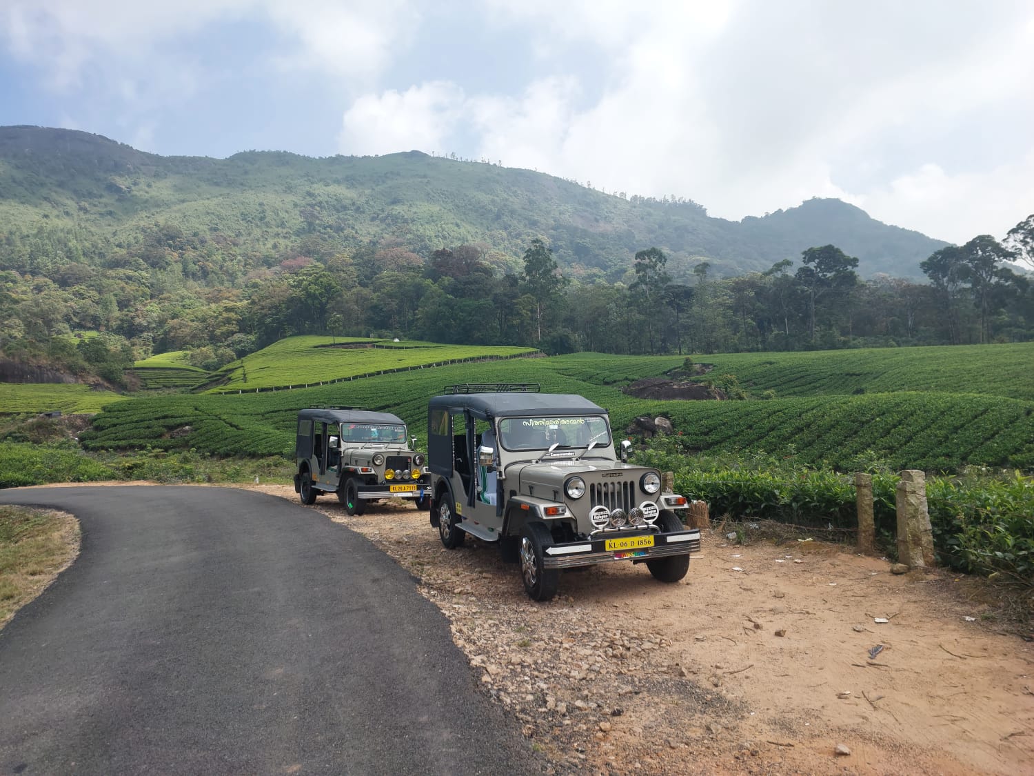 jeep safari