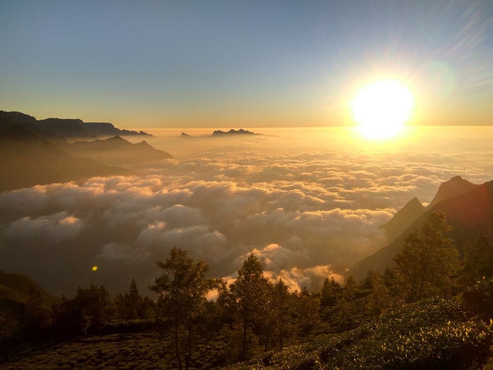 Kolukkumalai Jeep Safari With Sunrise - Wanders Munnar