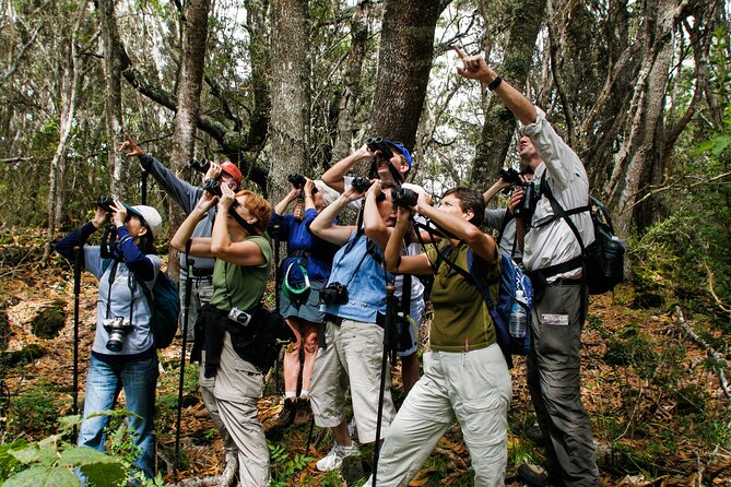 birdwatching