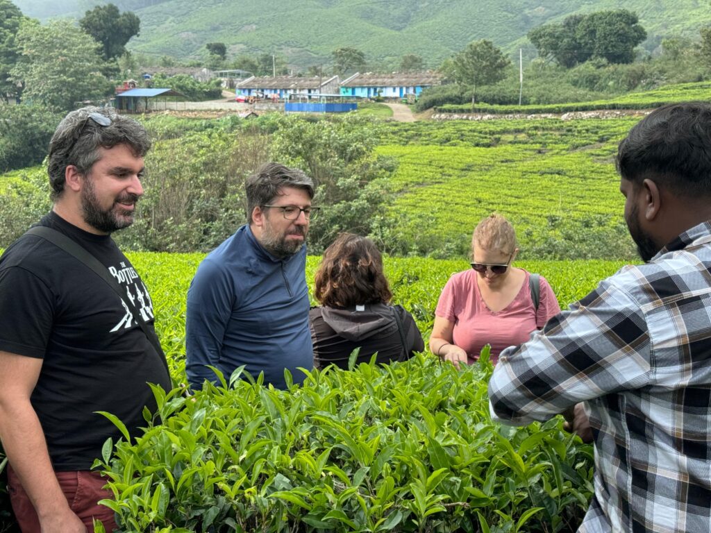 kolukkumalai tea plantation tour