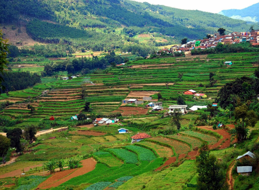 Munnar to Vattavada tour