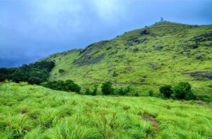 ponmudi Jeep Safari