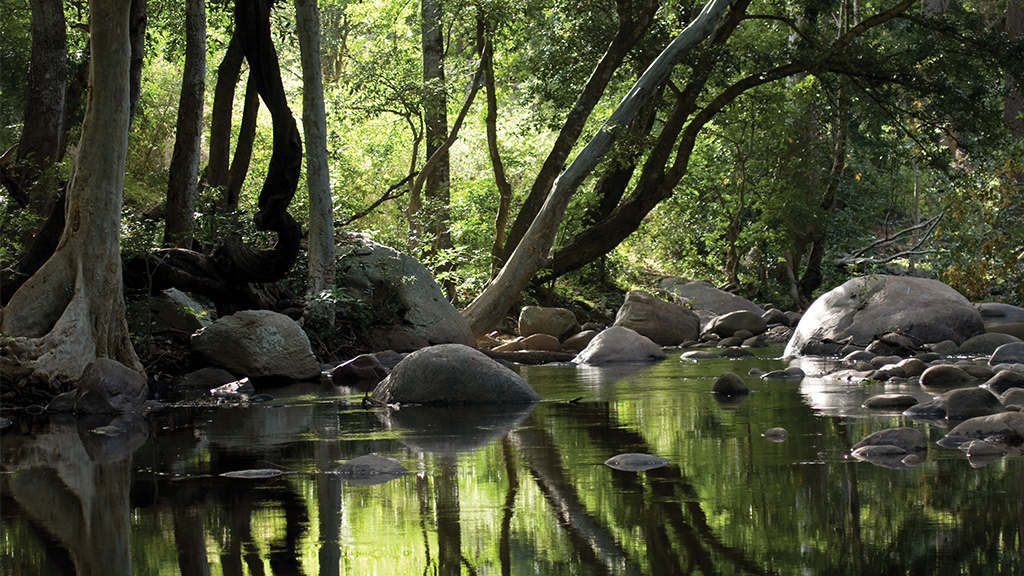 Chinnar wild life tour