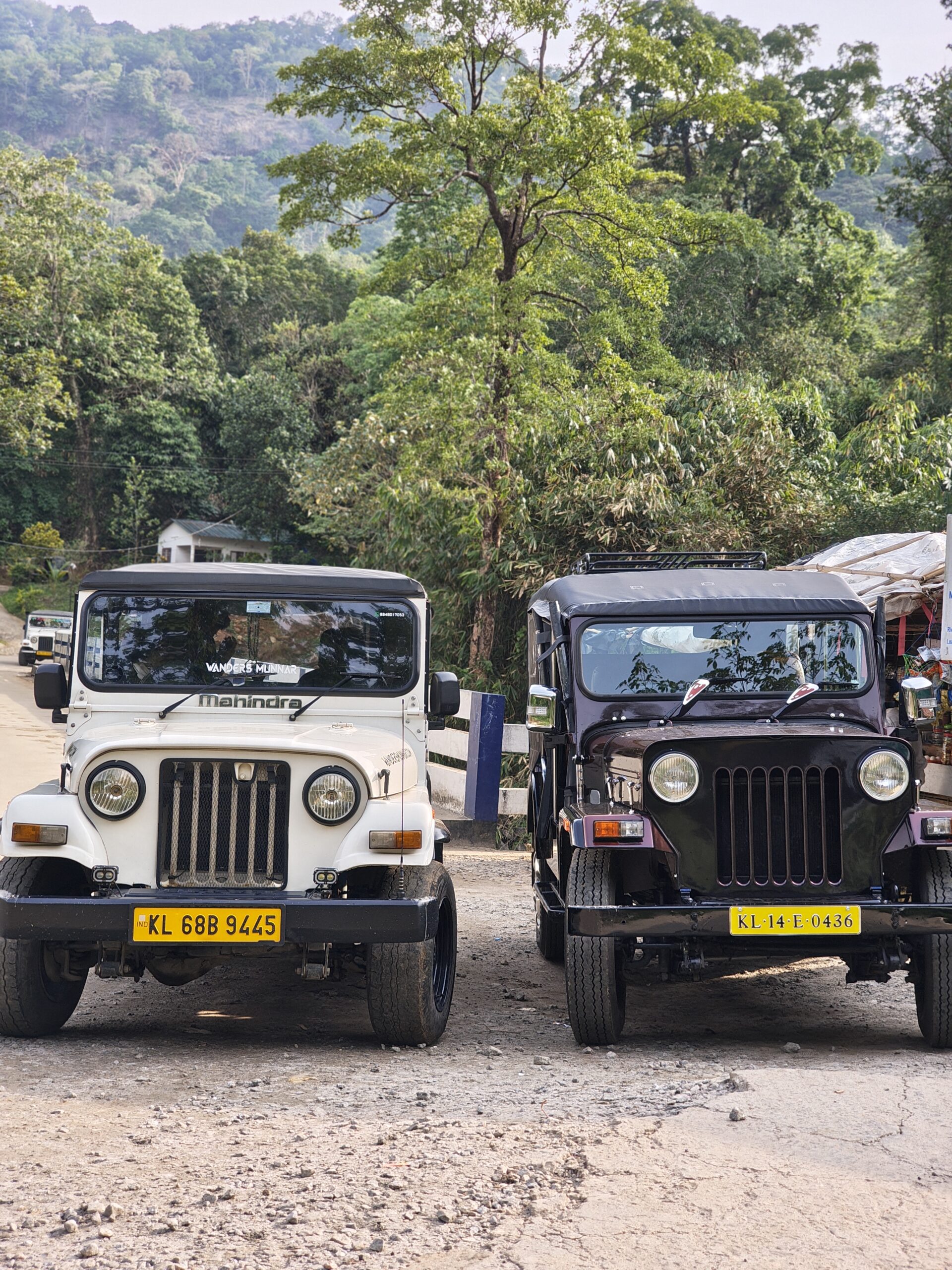 Anakulam Jeep Safari from Munnar