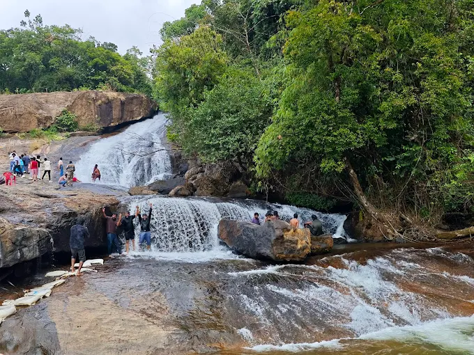 Anakulam Elephant Village jeep safari route